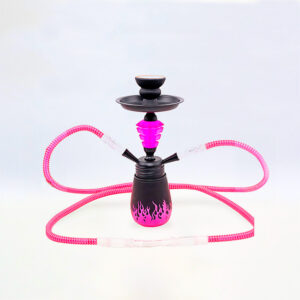 SHISHA 30 cm. 2 Mang. FLAMES ROSA 1 Ud. 02.30680