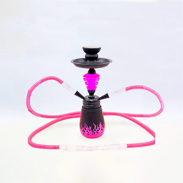 SHISHA 30 cm. 2 Mang. FLAMES ROSA 1 Ud. 02.30680